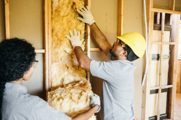 Best Residential Insulation Services  in USA